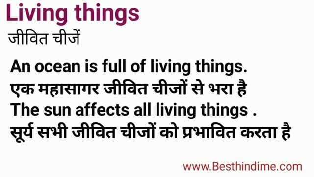 Living Things Meaning in Hindi/Living Things का अर्थ या मतलब क्या होता है смотреть онлайн