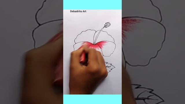 Hibiscus flower drawing #viral смотреть онлайн