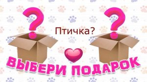 Выбирашки#56 Твой питомец