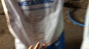 Витамины для откорма бычков