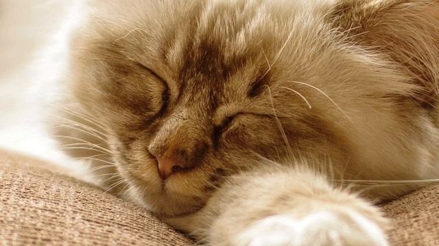 Подкаст: 90000 друзей, 3 года на Youtube и все, все, все смотреть онлайн