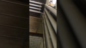 Замена стартера ниссан сирена TC24