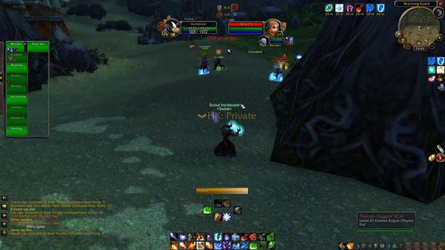 WoW Classic Twink 29 Battleground. Fire mage. World of Warcraft Warsong Gulch (NO MUSIC) смотреть онлайн