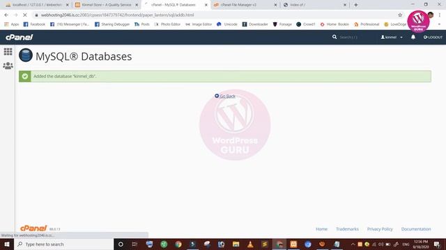 How to Move Wordpress Website Localhost to Live Server Using CPanel смотреть онлайн