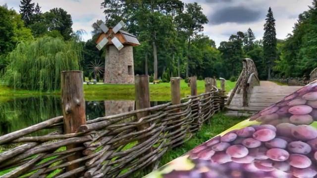 Викторина смотреть онлайн