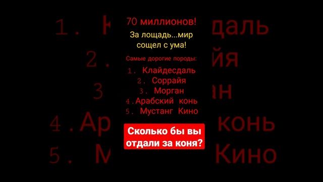 Самый дорогой конь. Арабский рысак. Полцарстваза коня. #shortsyoutube #конь #порода # скачки смотреть онлайн