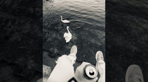 УННВ - Вечный Механизм (Prod. Phonk)