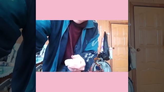 САЛО ДЛЯ СИНИЦ