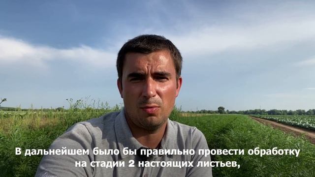 Правильная гербицидная схема, Коломна смотреть онлайн