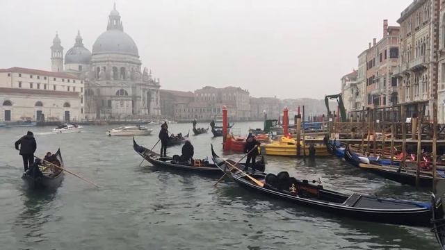 Венеция. Гондолы у площади Сан Марко смотреть онлайн
