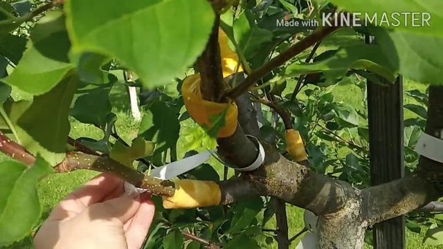 №14 Алиэкспресс!!! Товары на практике! Дачный выпуск! ?? смотреть онлайн
