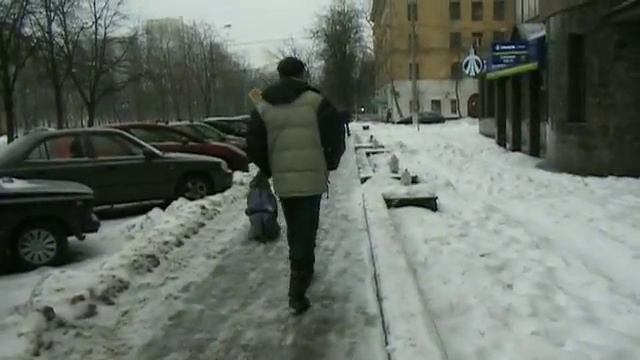 голубой тайский риджбек в городе смотреть онлайн