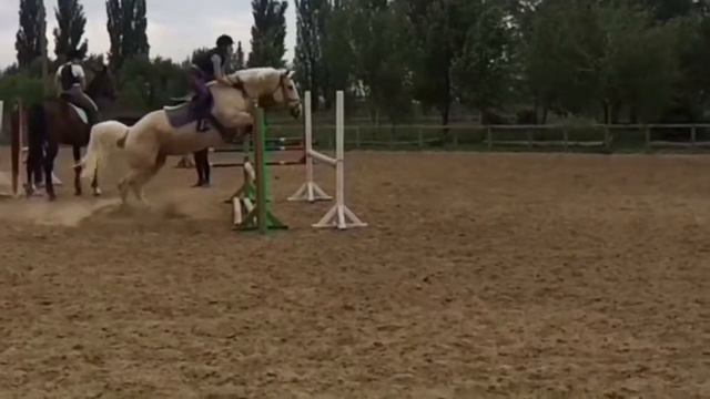 Брусья 85 Впервые Лиза и Кама 😱 смотреть онлайн