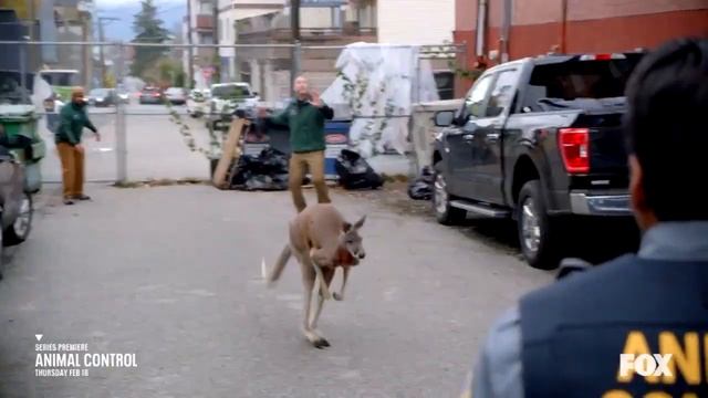 Animal Control (Ветеринарный контроль) 2023 Teaser Тизер смотреть онлайн