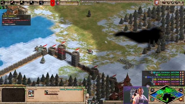 МЕГАРАНДОМ | Возможно всё! Командная игра от Винча в Age of Empires 2 смотреть онлайн