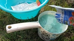 АНТРАКНОЗ смородины!!! Вовремя обнаружить и вылечить!!!