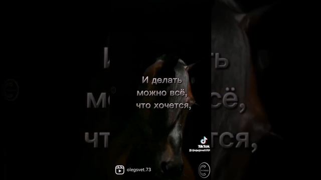...свобода или одиночество... смотреть онлайн