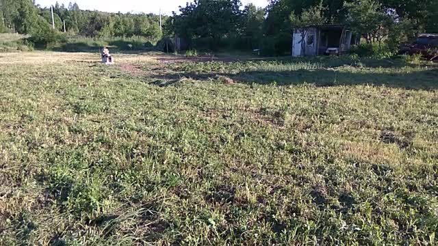 Обзор огорода на проекте Сапуново. Посадили много разных культур и даже тыкву. 14062020.