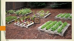 Что можно сделать из деревянных поддонов для дачи: несколько свежих идей