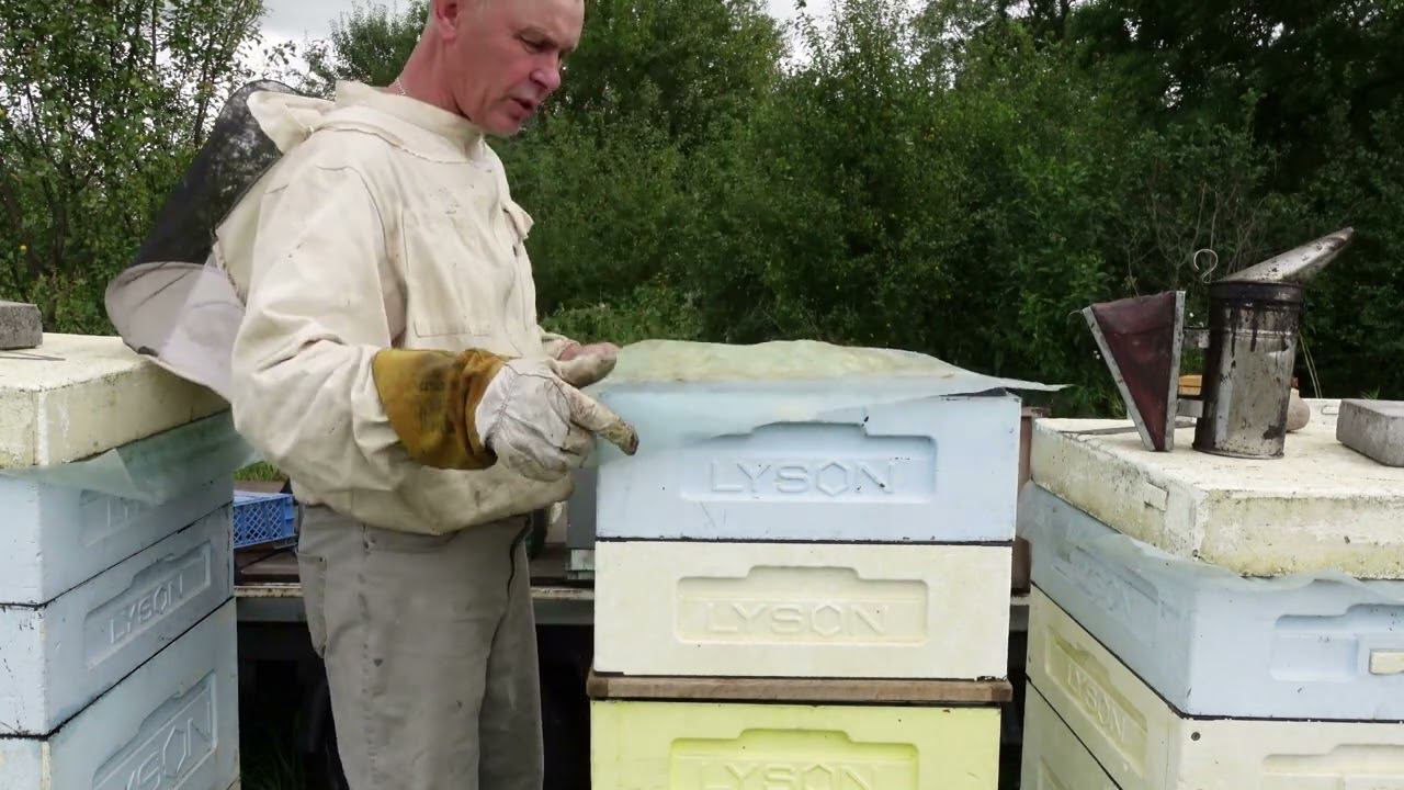 комплексный подход формирования гнезда на зиму в 10 рамочных ульях дадан смотреть онлайн