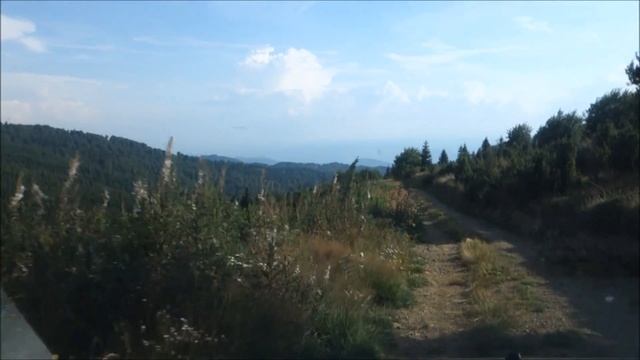 Куропатки на Ядовнике. Сербия, Копаоник. 16.08.2018 смотреть онлайн