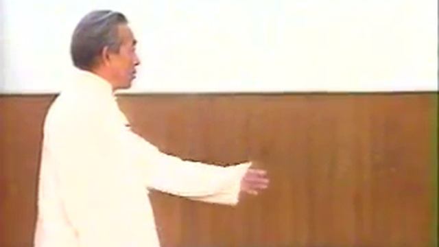 Wushi Taijiquan 16 Shi (b)