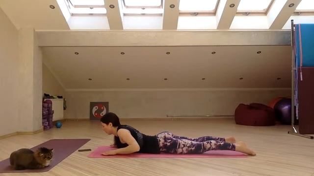 Адаптивная Йога Занятие №8 День карантина 22 смотреть онлайн