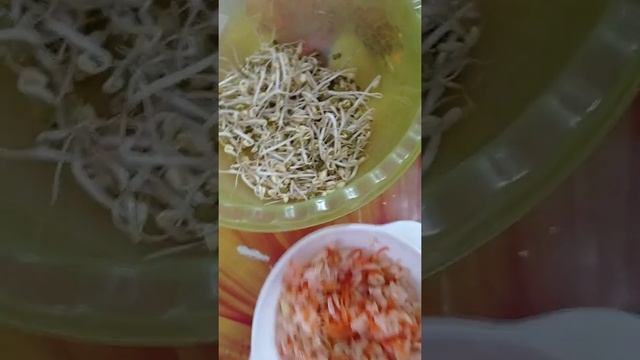 салат с машем пророщенным смотреть онлайн
