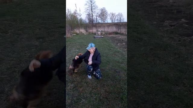 веселый Бурый.#животные. смотреть онлайн