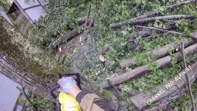 Полиспаст, удаляем аварийное дерево смотреть онлайн