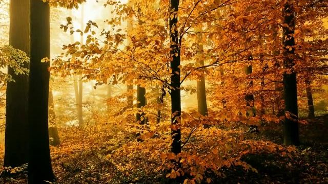 Иванов-Крамской - вальс.flv смотреть онлайн