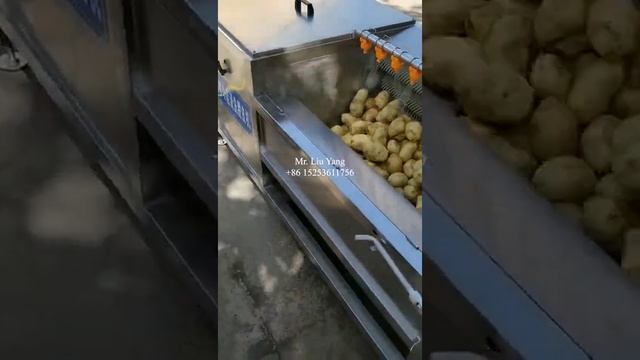 Potato brush washing machine 20230705 смотреть онлайн
