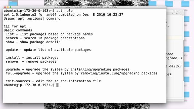 Professor Bear - Linux Installing Packages Apt смотреть онлайн