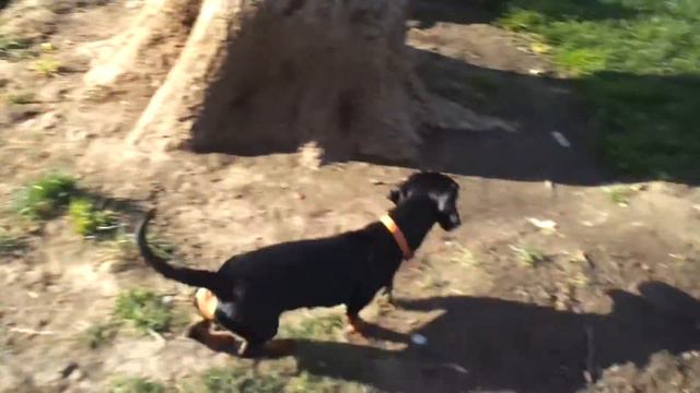 Lola, Cuca, Pepito y demases jugando en el parque смотреть онлайн
