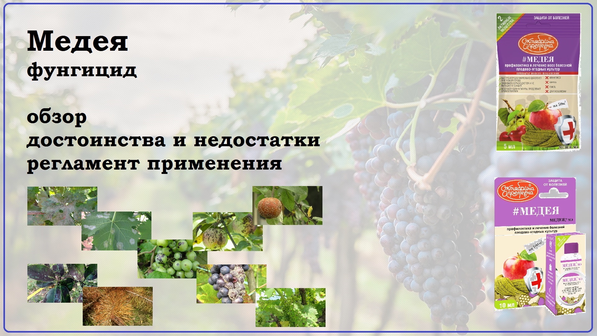 Обзор на фунгицид Медея смотреть онлайн