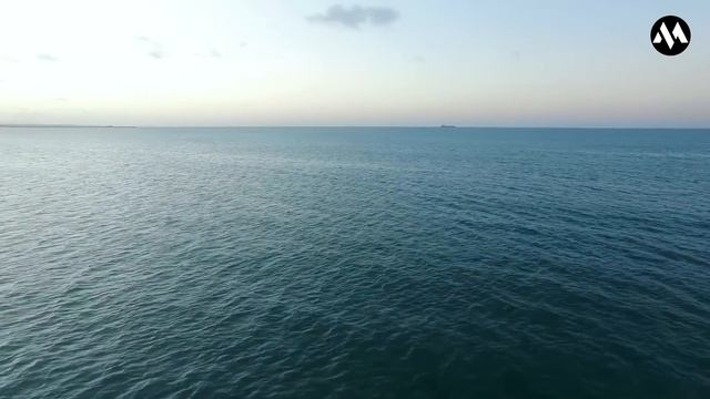 ଗୋଲ୍ଫ ଅଫ୍ ଆଲାସ୍କାର ପ୍ରକୃତ ରହସ୍ୟ | Why do the two oceans not mix ?Gulf of Alaska|The Mystery Mirror смотреть онлайн