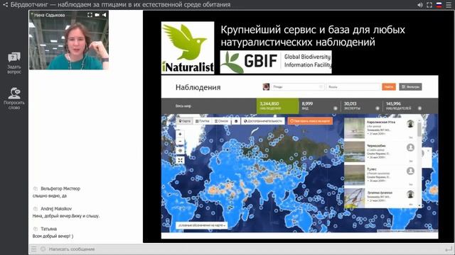 Вебинар | Бёрдвотчинг – прогулки с птицами смотреть онлайн