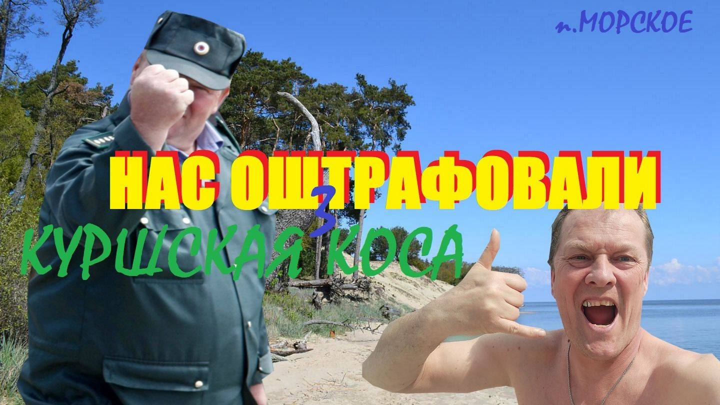 Куршская коса.Часть3.Морское у наших ног,или за клубничку наложили штраф.ДюнаЭФА.Зеленоградск.июнь24