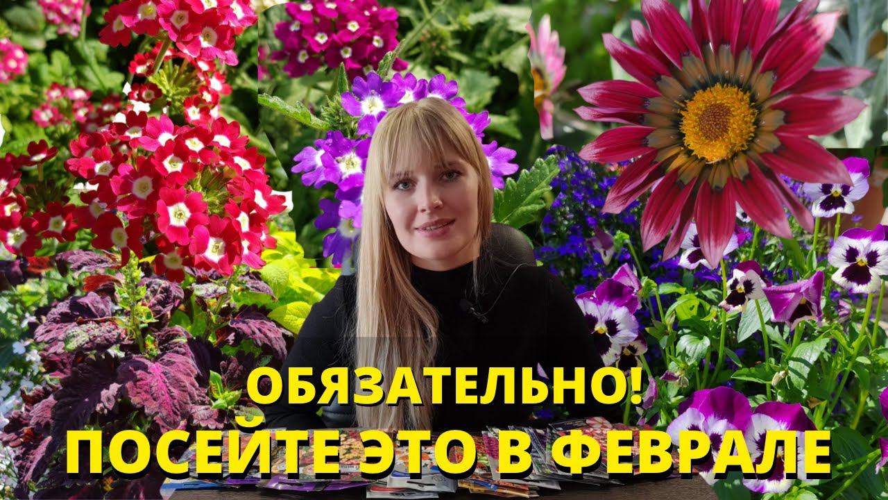 Что ПОСЕЯТЬ В ФЕВРАЛЕ? ЛУЧШИЕ растения ДЛЯ ВАШЕГО САДА! БОЛЬШОЙ ОБЗОР! смотреть онлайн