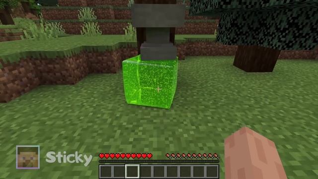 Minecraft Wait What Meme Part 198 Realistic Minecraft Slime Block