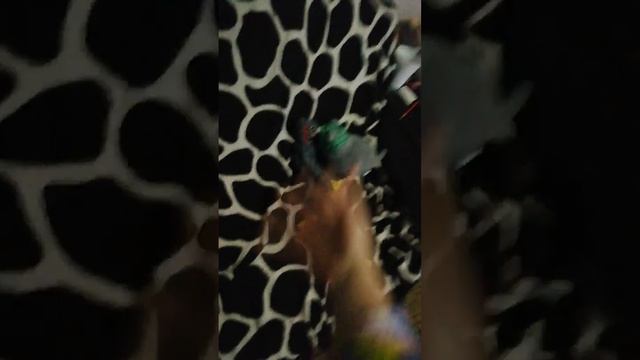 Сегодня у Славика день рождения!!!!!!!!!!!!! Осенние листья смотреть онлайн