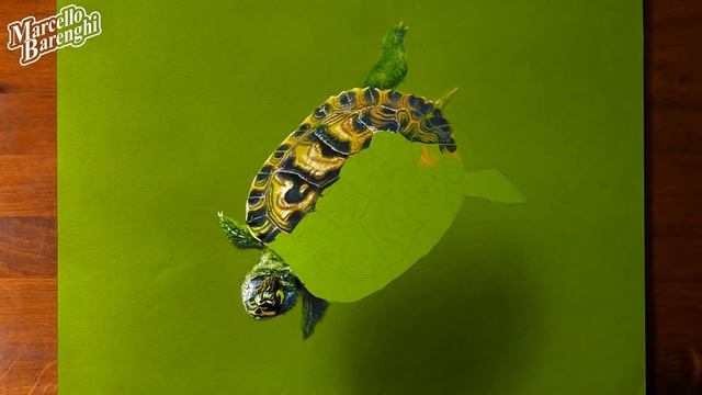Drawing a Turtle ? смотреть онлайн