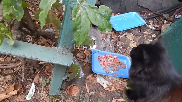 004 01 10 2015 г киря какой то вялый ... смотреть онлайн