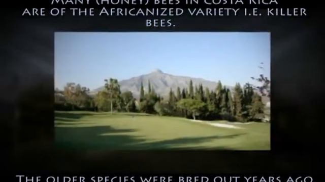 Homes for sale Costa Rica Beach смотреть онлайн