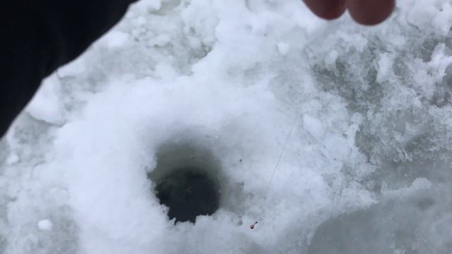 Плотва в глухозимье 2022. Поиск плотвы зимой. Зимняя рыбалка 2022. Плотва на мормышку смотреть онлайн