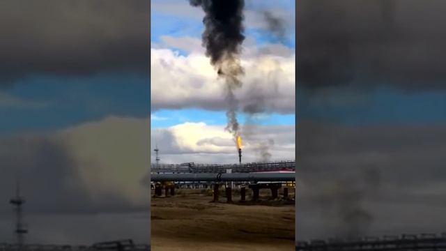 Запуск Сузунского месторождения (ненормативная лексика) смотреть онлайн