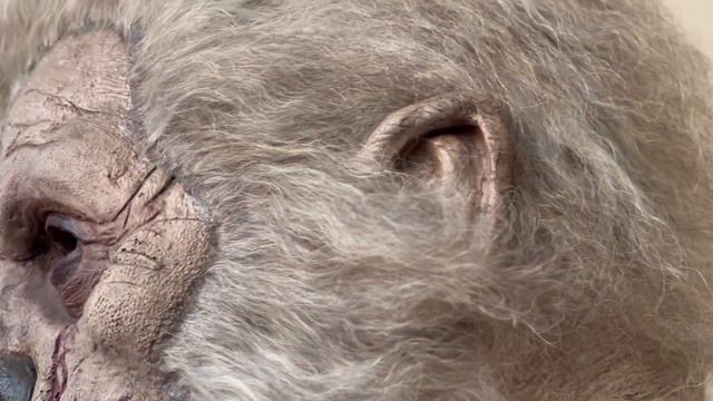 Scarewear Productions Wolfman Mask | Horrorshow Art | Latex Mask Collector смотреть онлайн