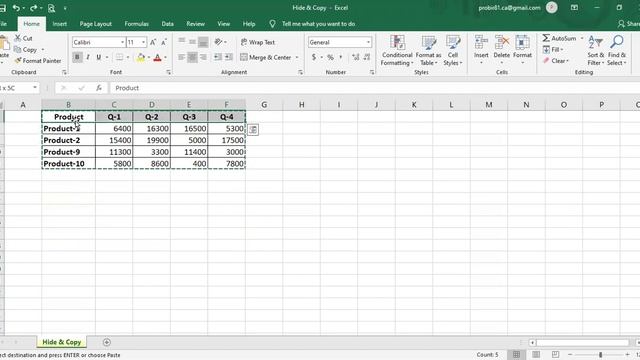 Hide & Copy Bangla Tutorial / Copy and Paste Only Visible Cells смотреть онлайн