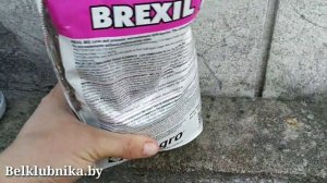 Как разогнать куст ? клубники? ? Клубничные секреты? Belklubnika.by