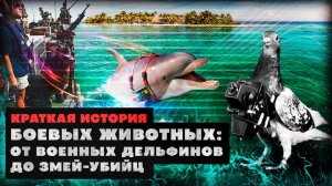 Краткая история боевых животных